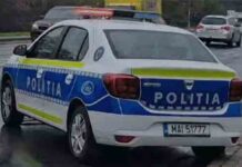 Au furat vaci de la Sâmbăteni: când au fost prinși, au amenințat polițiștii