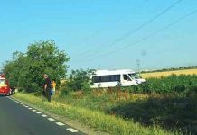 Tragedie pe drumul dintre Vladimirescu și Horia: șoferul a murit
