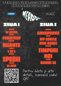 Primul festival caritabil de muzică din Arad