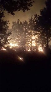 incendiu brchis Incendiu la Căpâlnaș: ard 20 de hectare de vegetație