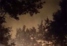 Incendiu la Căpâlnaș: ard 20 de hectare de vegetație