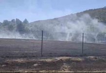 Incendiu la Sebiș: focul s-a extins la terenul de sport și la grădinile din zonă