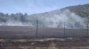 incendiu sebis Incendiu la Sebiș: focul s-a extins la terenul de sport și la grădinile din zonă