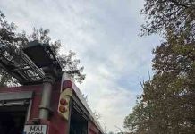 Incendiu între Fântânele și Frumușeni: a luat foc litiera pădurii