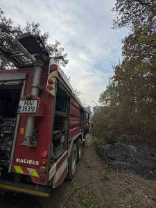 Incendiu între Fântânele și Frumușeni: a luat foc litiera pădurii