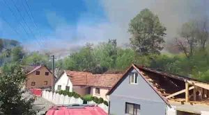 [VIDEO] Incendiu la Bârzava: ard 10 hectare de vegetație