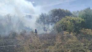 incendiu campul linistii Incendiu pe Câmpul Liniștii: au ars 2 hectare de vegetație