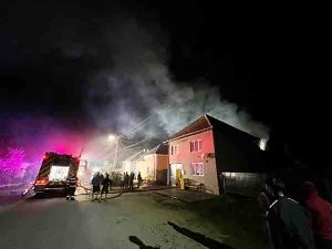 [VIDEO] Incendiu la Sebiș: a luat foc o casă